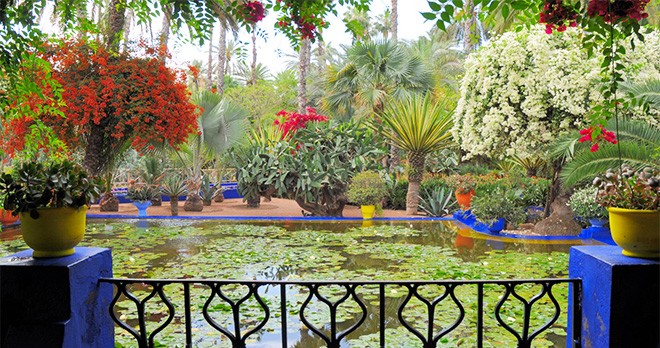 tour-majorelle-garden-marrakech
